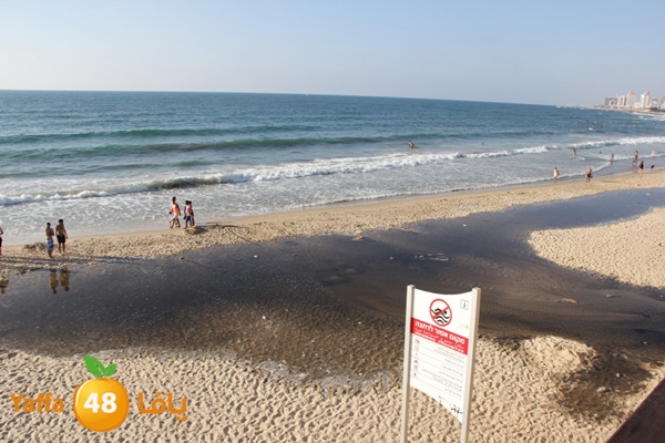 nakhom goldman majary (3).JPG